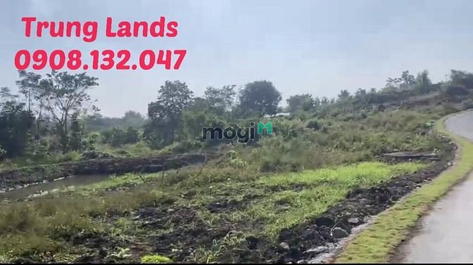 Hình ảnh Bán 1 mẫu 3 đất thôn Phước An Xã Đá Bạc, huyện Châu Đức,BRVT giá 20 tỷ