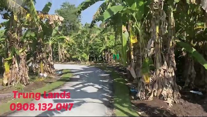 Hình ảnh Bán 1 mẫu 3 đất thôn Phước An Xã Đá Bạc, huyện Châu Đức,BRVT giá 20 tỷ