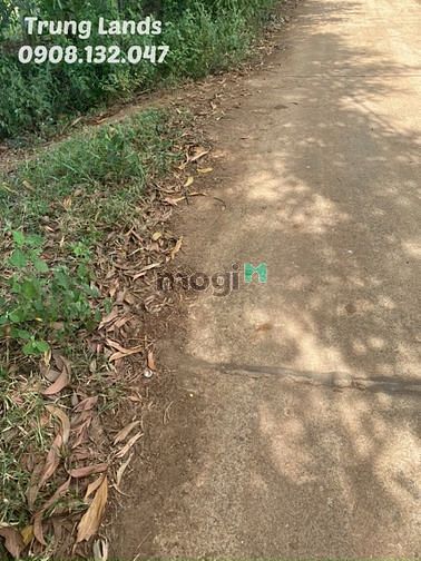 Hình ảnh Bán 1000 m2 đất Xuân Sơn, Châu Đức, BRVT giá 1.3 tỷ