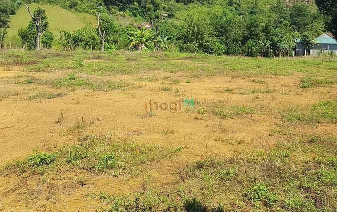 Hình ảnh Bán đất nghỉ dưỡng Thạch Thất, ô tô tránh, 420m2