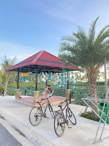 Hình ảnh Biệt thự cực sang thiết kế chuẩn Singapore từ sơn bắc ninh