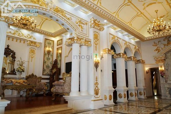 Hình ảnh Bán BIỆT THỰ tặng nội thất, khu Vip nhất Tân Bình