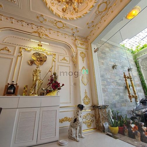 Hình ảnh Bán BIỆT THỰ tặng nội thất, khu Vip nhất Tân Bình