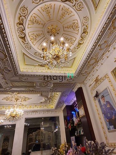 Hình ảnh Bán BIỆT THỰ tặng nội thất, khu Vip nhất Tân Bình