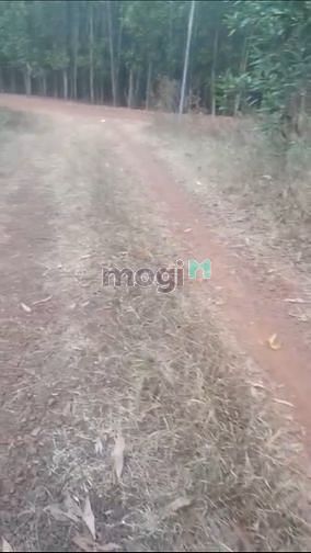 Hình ảnh Bán 1,2ha đất Tân An Vĩnh Cửu Giá rẻ