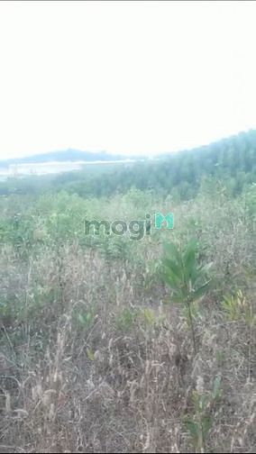 Hình ảnh Bán 1,2ha đất Tân An Vĩnh Cửu Giá rẻ