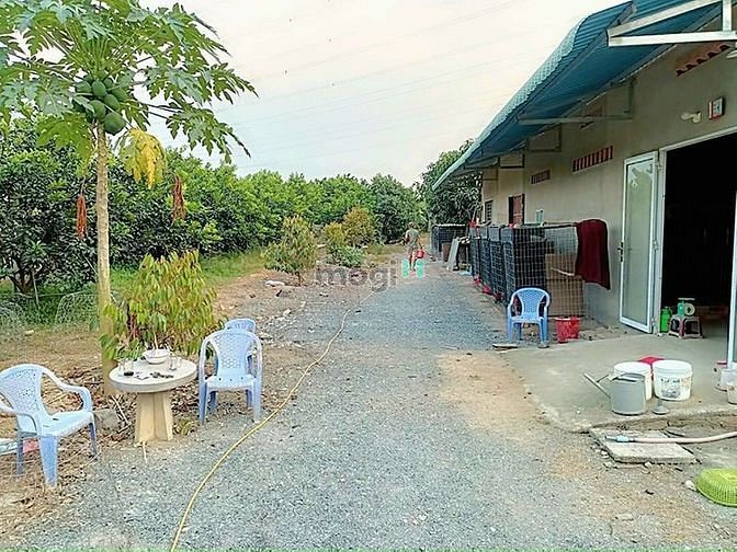 Hình ảnh Đất Vườn Nghỉ Dưỡng Bình Lợi Vĩnh Cửu