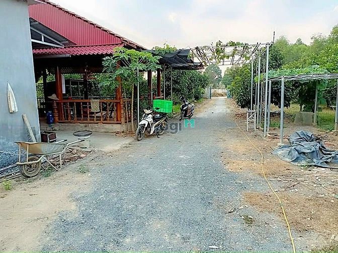 Hình ảnh Đất Vườn Nghỉ Dưỡng Bình Lợi Vĩnh Cửu