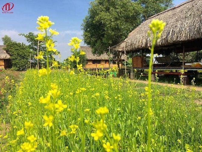 Hình ảnh Cty Hùng Vĩ Land Bán 10,000m2 (1hecta) đất Q9 25/01/2022