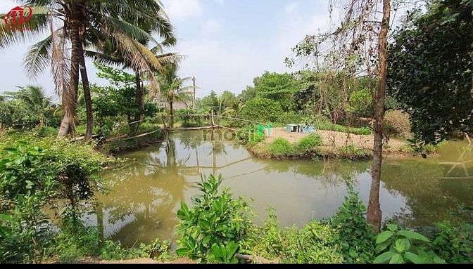 Hình ảnh Cty Hùng Vĩ Land Bán 10,000m2 (1hecta) đất Q9 25/01/2022