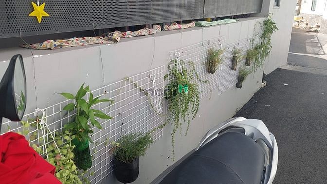 Hình ảnh P.Linh Chiểu, HXH 1/, 12x9 m2, Cấp 4 Chỉ 6 Tỷ