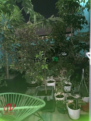 Hình ảnh CTy HVL Duplex TDH - Phước Bình 135m2 chỉ 4.5 tỷ 28/01/2022