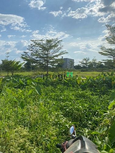 Hình ảnh 1000m² đất trồng cây xã bình mỹ Củ Chi giá 4,4 tỷ