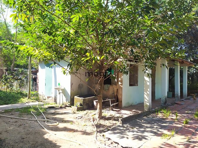 Hình ảnh Đất vườn Củ Chi hơn 6000m2 cho thuê – 5 triệu/tháng
