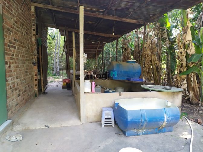Hình ảnh Đất vườn Củ Chi hơn 6000m2 cho thuê – 5 triệu/tháng