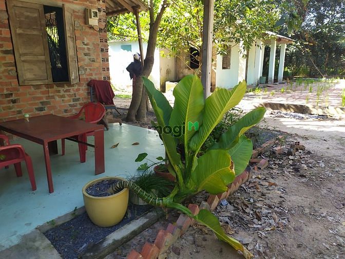Hình ảnh Đất vườn Củ Chi hơn 6000m2 cho thuê – 5 triệu/tháng
