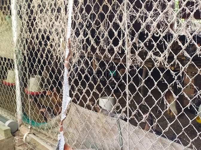 Hình ảnh Đất vườn Củ Chi hơn 6000m2 cho thuê – 5 triệu/tháng