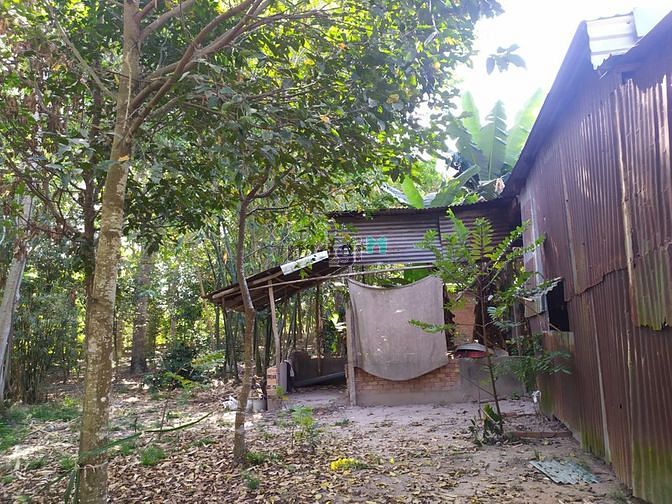 Hình ảnh Đất vườn Củ Chi hơn 6000m2 cho thuê – 5 triệu/tháng