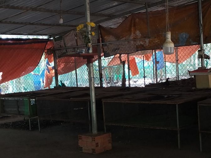 Hình ảnh Đất vườn Củ Chi hơn 6000m2 cho thuê – 5 triệu/tháng