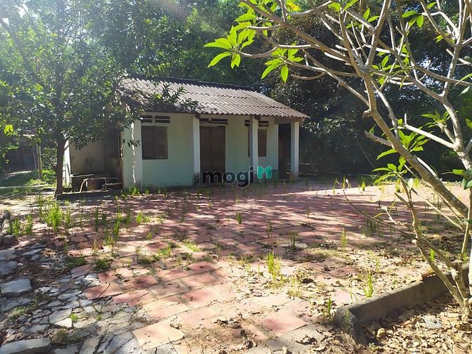 Hình ảnh Đất vườn Củ Chi hơn 6000m2 cho thuê – 5 triệu/tháng