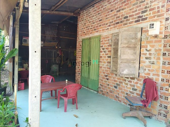 Hình ảnh Đất vườn Củ Chi hơn 6000m2 cho thuê – 5 triệu/tháng