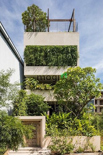 Hình ảnh (Cho thuê) Hidden Home In The Jungle - Villa 44