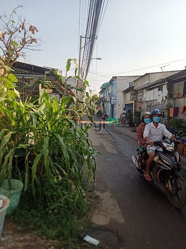 Hình ảnh Nhà đường chòm sao thuận an Bình Dương
