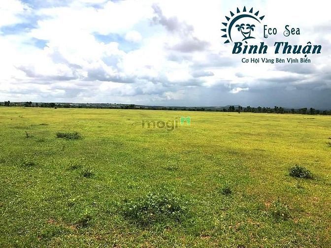 Hình ảnh Đất Bắc Bình, Bình thuận gần Nova giá rẻ