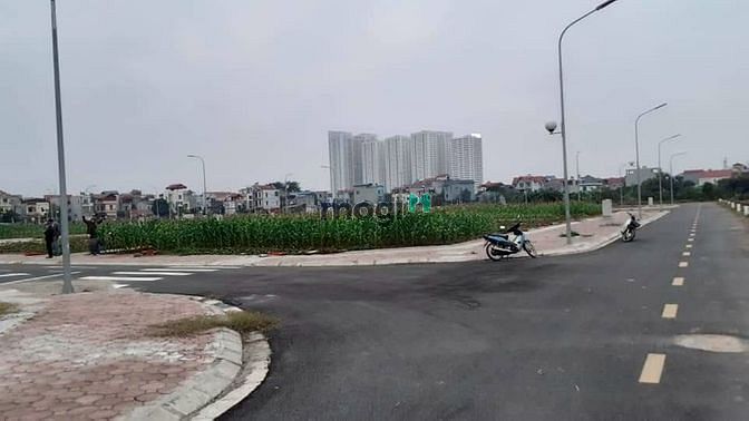 Hình ảnh Đất X1, X2 Mai Lâm, Đông Hội. Đường25m, vỉa hè 5m, DT 80m2, MT 5m.