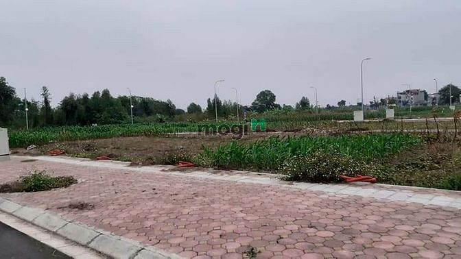 Hình ảnh Đất X1, X2 Mai Lâm, Đông Hội. Đường25m, vỉa hè 5m, DT 80m2, MT 5m.
