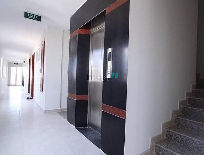 Hình ảnh CHDV Full NT Tân Bình ngay Sân bay gần chợ Tân Trụ Tân Bình
