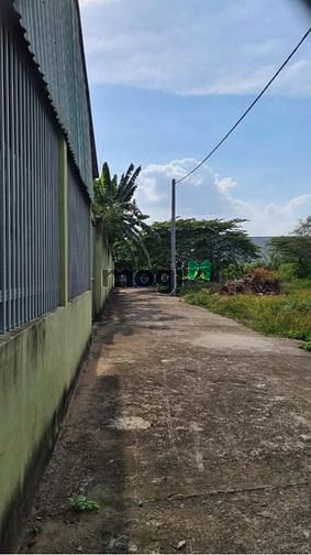 Hình ảnh Bán nền hẻm nhánh 150 nguyễn thông, phường an thới, quận bình thuỷ. TP