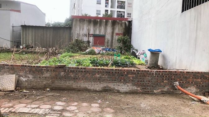 Hình ảnh Thanh lý gấp đất đấu giá Thạch Bàn, giáp chung cư Him Lam,vị trí siêu