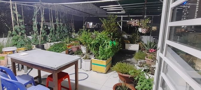 Hình ảnh Cần tìm nữ NVVP, sinh viên ở ghép 1.4 Tr/tháng