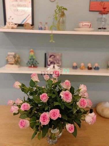 Hình ảnh Cho thuê 1PN riêng 54m2 Ehome 5 Quận 7 full nội thất giá 9 triệu