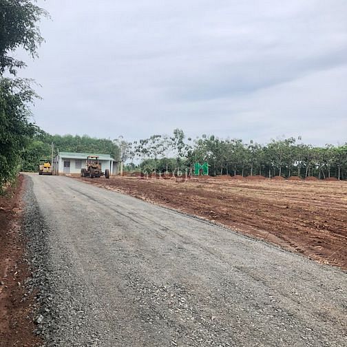 Hình ảnh Thổ cư mặt tiền giá rẻ bình phước