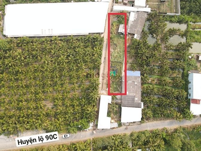 Hình ảnh Bán đất thổ cư tại Long Hòa A, Đạo Thạnh, gần quảng trường