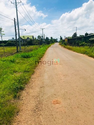Hình ảnh Chính chủ bán gấp lô đất 100m2 vuông vức full thổ cư