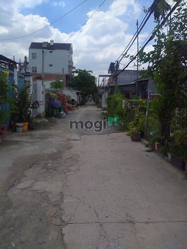 Hình ảnh Cho thuê đất Mb6666 game giải trí miễn phí 1200m (30x40 có thể hơn)