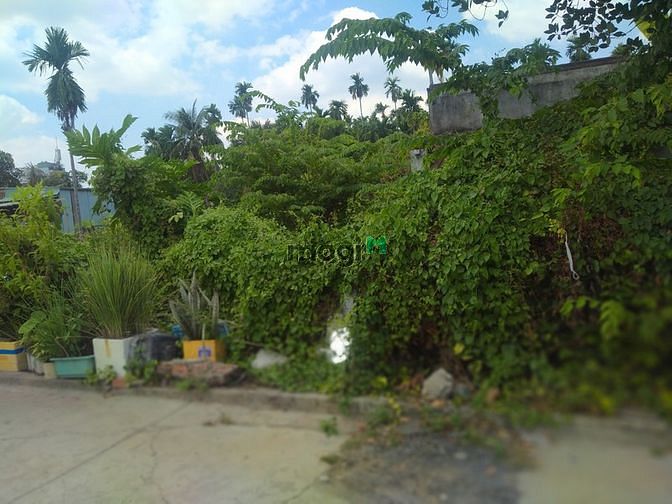 Hình ảnh Cho thuê đất Mb6666 game giải trí miễn phí 1200m (30x40 có thể hơn)