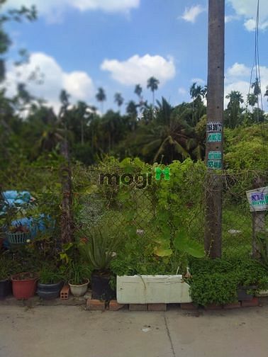 Hình ảnh Cho thuê đất Mb6666 game giải trí miễn phí 1200m (30x40 có thể hơn)