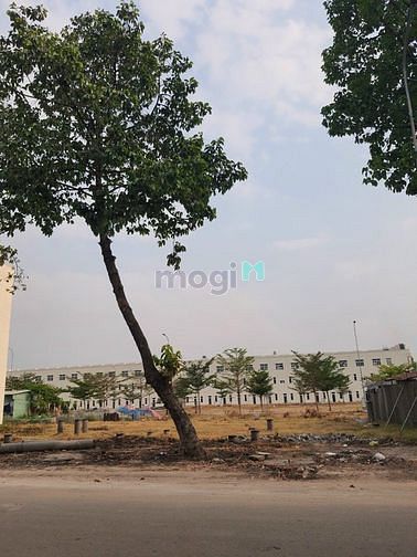 Hình ảnh Đất nền sổ đỏ - DT743 Vòng xoay An Phú - TP. Dĩ An