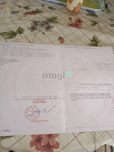 Hình ảnh Đất trục đường nhà thờ Mân Côi Tân Thắng giá 3 tỷ 400 tr