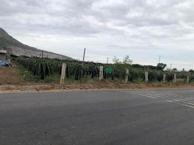 Hình ảnh 8554 m2 . MT Đường nhựa 180 m Tân Hà giá 22 tỷ.