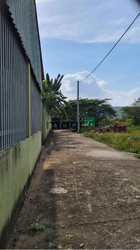 Hình ảnh Bán nền hẻm nhánh 150 nguyễn thông phường an thới