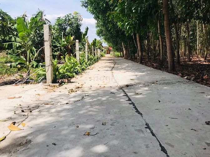 Hình ảnh Đất 4500 m2. Đất ở phủ hồng Tân Thắng giá 6 tỷ tl