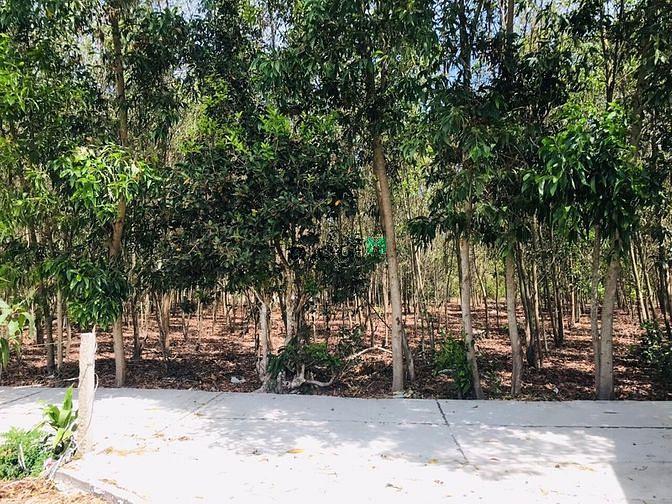 Hình ảnh Đất 4500 m2. Đất ở phủ hồng Tân Thắng giá 6 tỷ tl