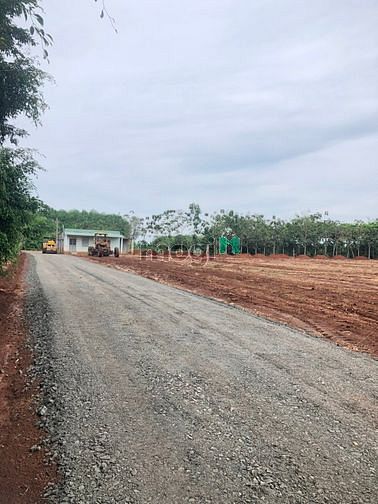 Hình ảnh Siêu phẩm thổ cư mặt tiền sát QL13 giá rẻ