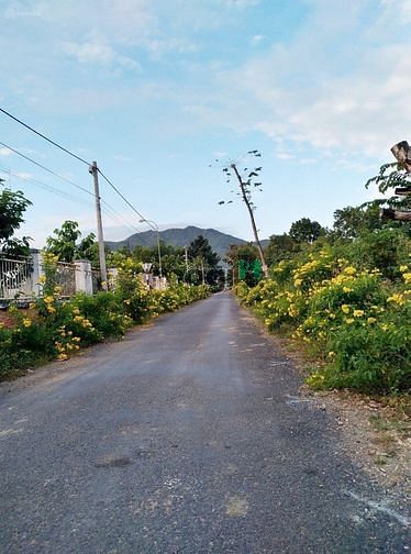 Hình ảnh cần bán 2 lô đất Phú Mỹ- Bà Rịa. Giá 1tỷ 420