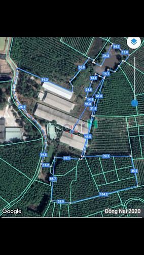 Hình ảnh Bán đất 100m2 thổ cư dân ở đông đúc Bắc Sơn Trảng Bom Đồng Nai